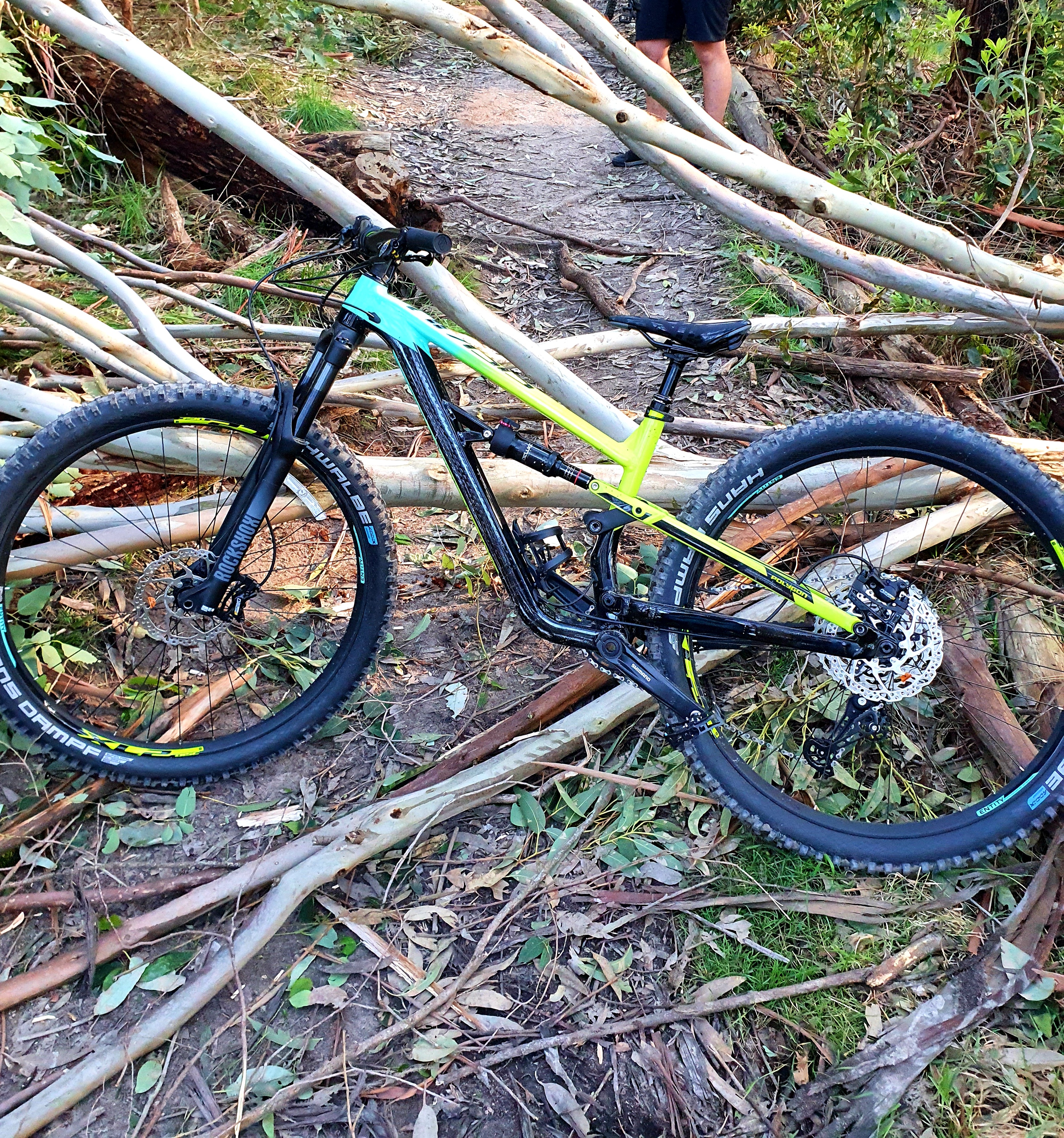 mountain bike resting on logs in the forest