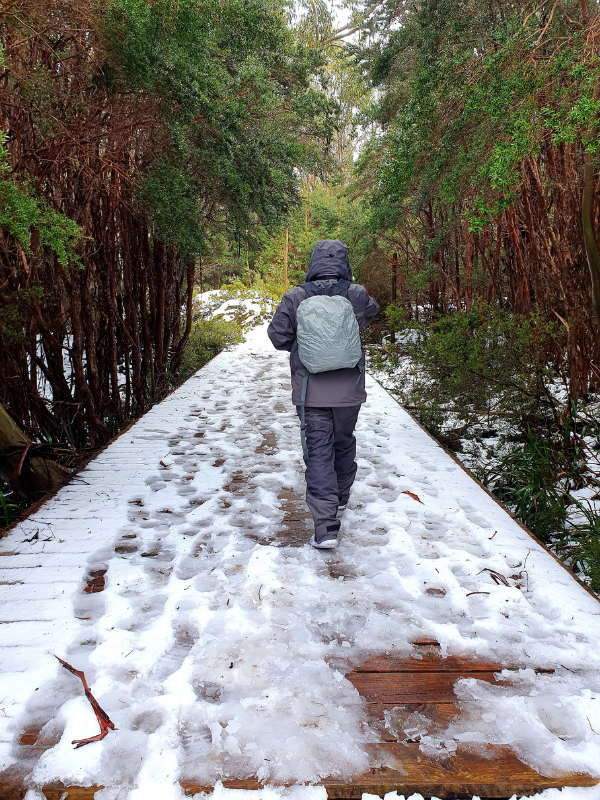 walking in the snow on a path in the forest