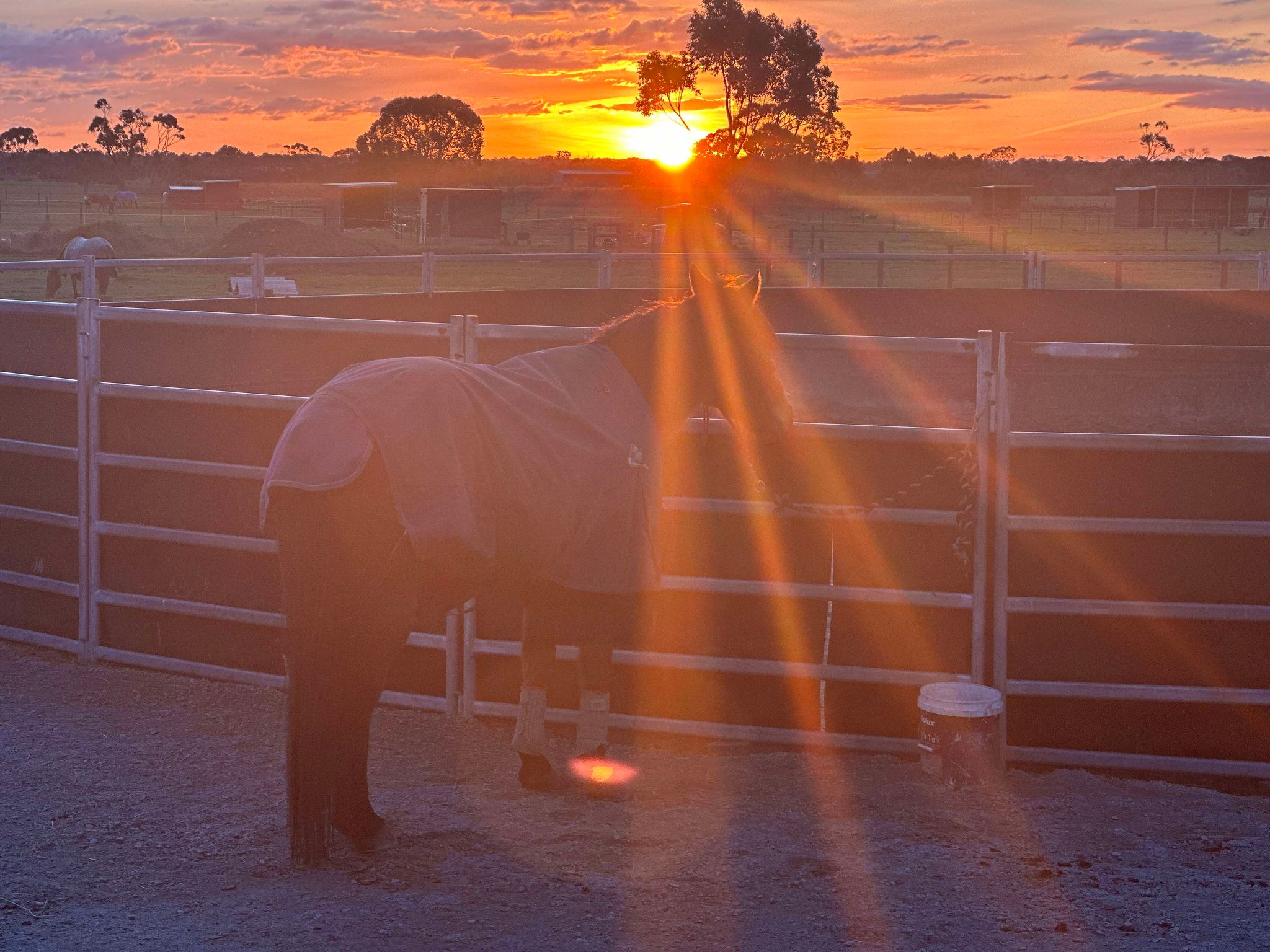 Join us for the Totoka Lodge Horse Experience